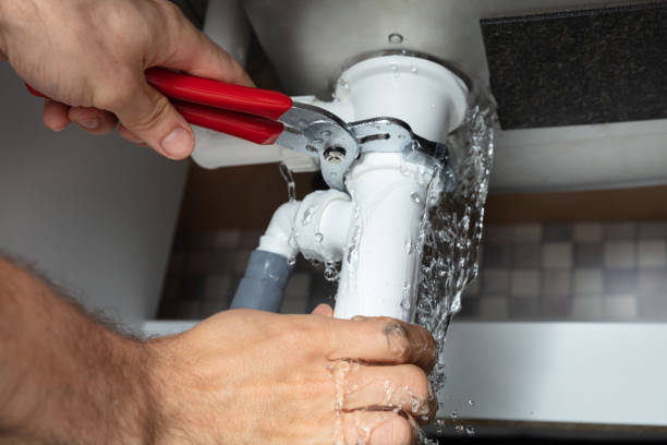 Best Mold removal after water damage  in Nyon Lake, CA