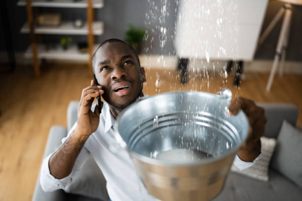 Best Water damage repair service  in Nyon Lake, CA