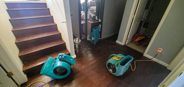  Nyon Lake, CA Water damage restoration Pros