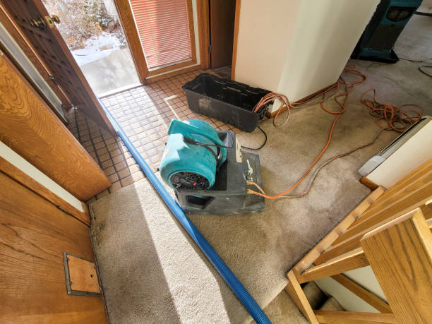 Best Flooded house restoration  in Nyon Lake, CA