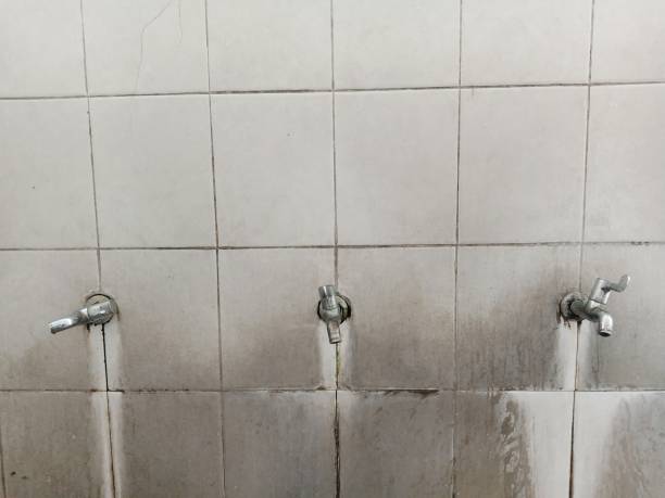Best Basement water damage restoration  in Nyon Lake, CA