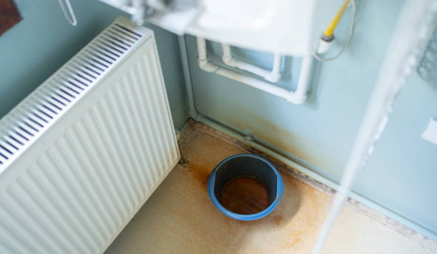 Best Local water damage restoration  in Nyon Lake, CA