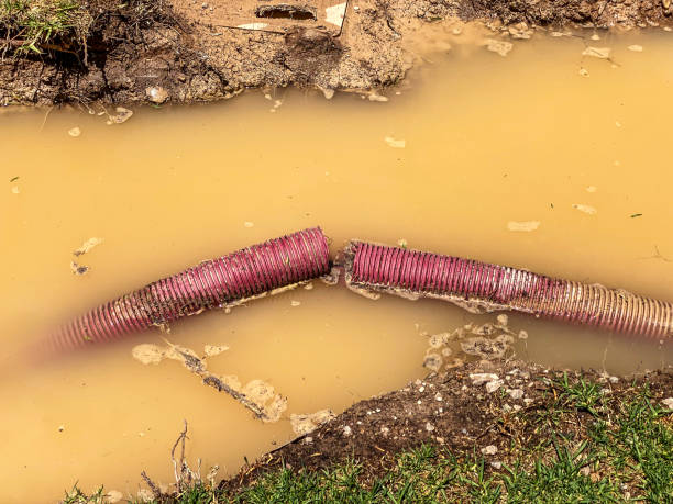 Best 24-hour water damage restoration  in Nyon Lake, CA